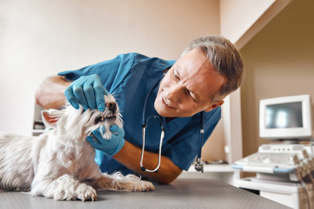 Best Emergency Root Canal Treatment in Adel, GA